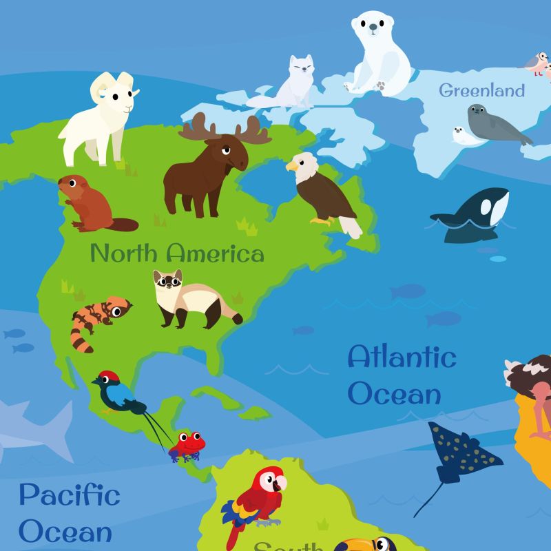 Animal World Map Wall Sticker