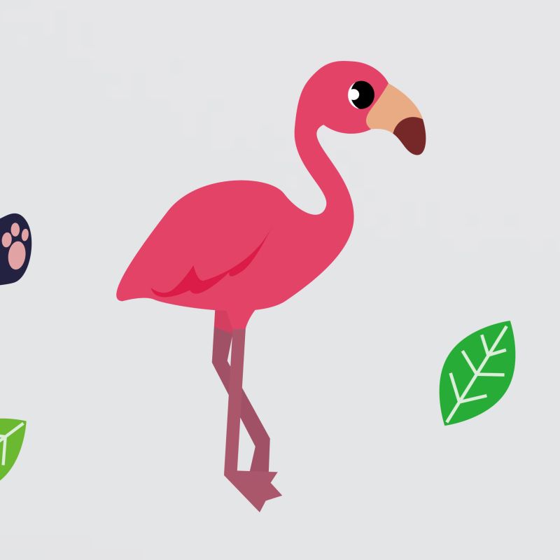 Zoo Animals Wall Stickers